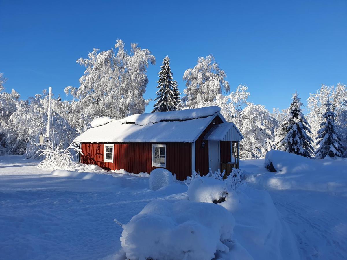 Luxury Guesthouse 'Lodge Lagom' - Hammarstrand-Jaemtland מראה חיצוני תמונה